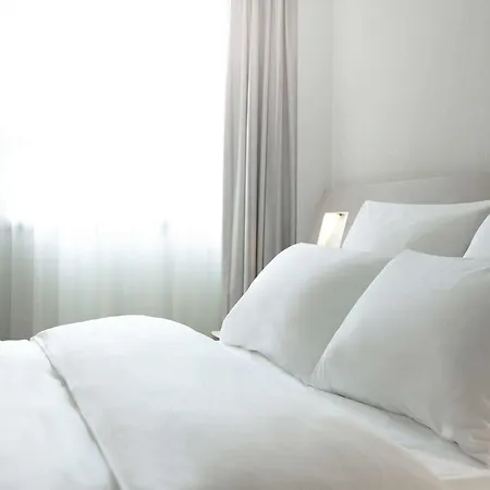 Novotel Roissy Witz 酒店 4*